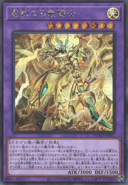 聖秘なる竜騎士